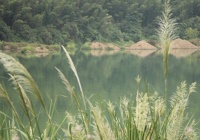 退休后，最好的活法：清茶、小酒、闲书