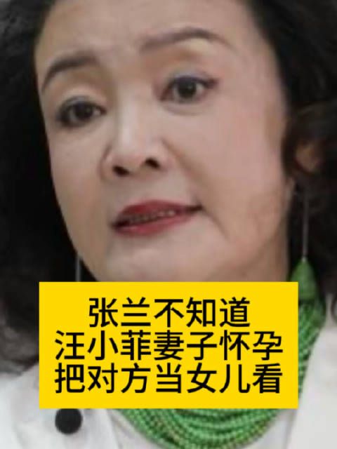 张兰不知道汪小菲妻子怀孕，把对方当女儿看