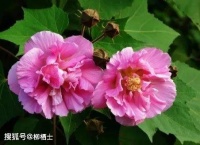 【荐读】做好小事，熬过难事，静成大事