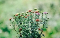 如果你在70至75岁，还能做到以下8条，你就很了不起了