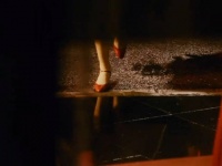 唐嫣凭借《繁花》入围白玉兰最佳女主角，汪小姐值得！