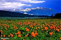 【荐读】懂得转弯，是人生的大智慧