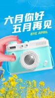 五月再见