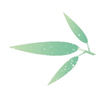 魔都6月演出指南