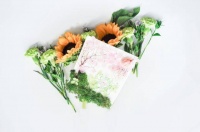 真正聪明的人，不会和经常做这几件事的人深交，清醒又有远见