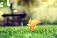 60岁之前，已经完成了这3件事，说明你是人生赢家