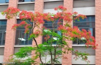 【荐读】 分寸感，是一个人最好的修养