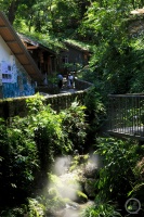 “盛夏”（126） | 上游主题摄影征稿作品展——郑文作品