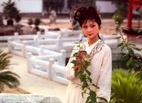 当你烦恼时，读懂《红楼梦》里的两首诗，就变得通透了