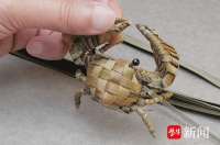 让传统文化越来越“年轻”！湖塘“俞氏棕编”的传承与创新