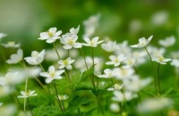 一个人有这几个能力，人品大多可靠，值得深交