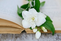 人到中年，最大的聪明，就是“戒色”