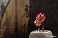 一个人过了50岁，还在跟人聊这些话题，多半活得很失败