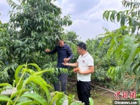 “硕士农民”刘沈厅：高考并非人生全部 勇敢追求热爱