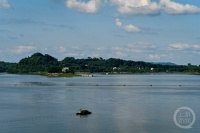 “盛夏”（139） | 上游主题摄影征稿作品展——张颂东作品