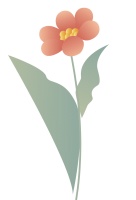 一朵花读懂一座城：茉莉花开香满城