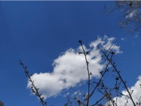 「毕淑敏远行系列」征文连载 |​ 心灵远行、十八岁远行（投票即将开启）