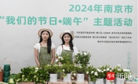 振兴传统节日，南京举行百场活动迎端午
