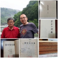 被“电击”的文字