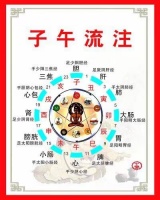 师父的医术简直惊如仙人