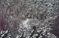 2/5啊！应试美学……