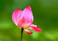 亲戚向你“借运”的三种迹象，每一种都要拒绝