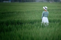 把中年生活调成静音：圈小、事少、人傲