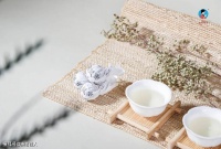 散茶、饼茶、小龙珠、沱茶哪个更适合存放？