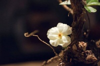 夜读｜不管是职场还是生活，都要克制这种行为！