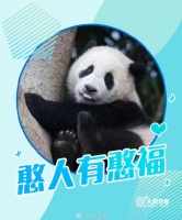 接福啦！收藏福宝送福表情包