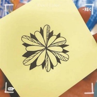 陪你一起看见心里那朵带刺的花