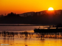 【古诗词鉴赏】唐代诗人白居易《暮江吟》诗赏析