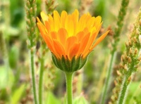 人到中年，你再善良，以下3种人的忙，不要帮