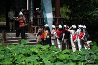 “盛夏”（161） | 上游主题摄影征稿作品展——冉小军作品