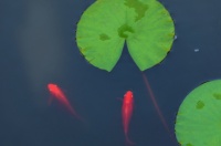 美文丨肖凌之：有一种幸运，叫努力