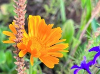 一个50岁离婚男人的忠告：人到中年，有3件糊涂事不能做