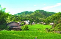 真正聪明的人，不会和这几种人深交