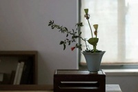 夜读｜心里不如意，不如尝试做这件事