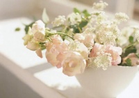 习惯发这几条朋友圈的人，人品多半可靠，值得深交