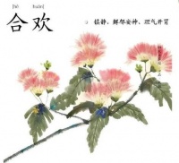 仲夏除了荷花还能赏什么？京城合欢花开，赏花攻略来了