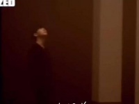 睿智之人避爱情如洪水，逢你便失明智