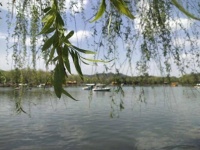 明月拂晓佳人不在，柳永仅仅数笔勾勒离情到极致，引出千古绝唱