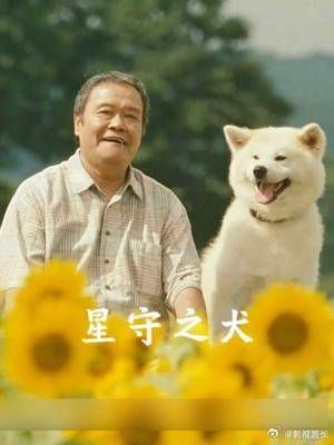 人到中年还一事无成,真的会很凄惨吗?