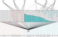 “冲动”是不是一种心理特质？中科院学者相关研究在美发表