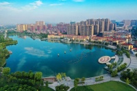 这个中国小镇何以成为全球提琴生产重镇？