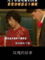 这个剧太现实了，这一段看得好窒息 黄亦玫这次婚结的真是吃劲苦头…