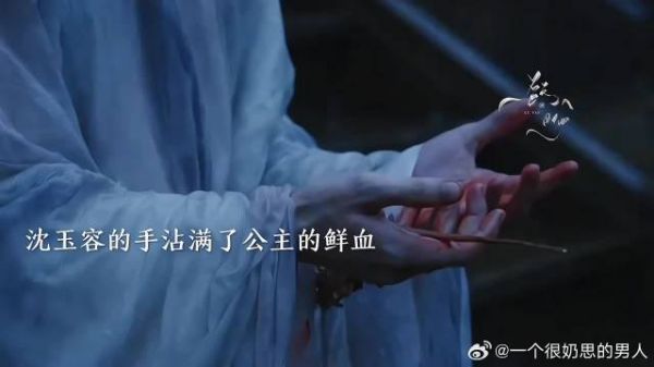 公主是真的爱沈玉容,她这么疯只是为了让自己的份量在沈玉容心中再重一分…
