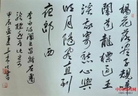 卜墨启龙—蒲松林（三木公）甲辰龙书大展