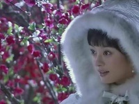 浣碧与流朱对安陵容心生嫌隙，推荐精品剧目甄嬛世界 故事篇章