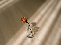 孩子的厌学，其实跟原生家庭和婚姻的不幸有关，父母赶紧觉醒吧